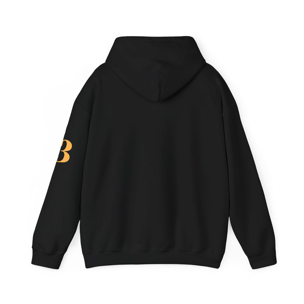 God Is My Everything a.k.a “Ery’thang” Colossians 3:11 Christian Hoodie